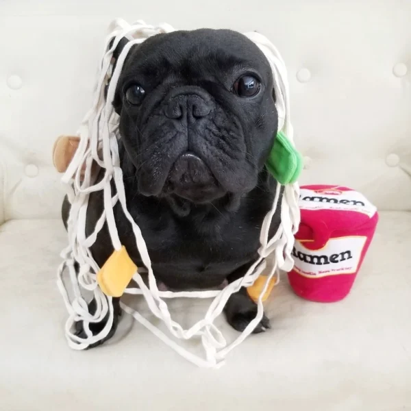 Dog Toys – Snuffle Noodle Cup Interactive Feeding Toy