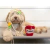 Dog Toys – Snuffle Noodle Cup Interactive Feeding Toy