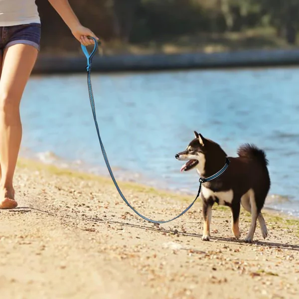 9c8b31b7d703ebe06d7bbba99f939a12.webp Pet Reflective Safety Leash Large Dog Leash Medium Dog Leash Small Dog Leash Dog Walk Leash