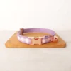 Customized Collar Personalized Cat Collar Kitten Collar Adjustable Anti-lost Adult Cat Bell