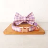 Customized Collar Personalized Cat Collar Kitten Collar Adjustable Anti-lost Adult Cat Bell