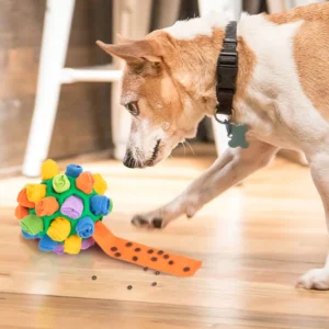 Rainbow Felt Snuffle Ball – Interactive Puzzle Feeder Dog Toy