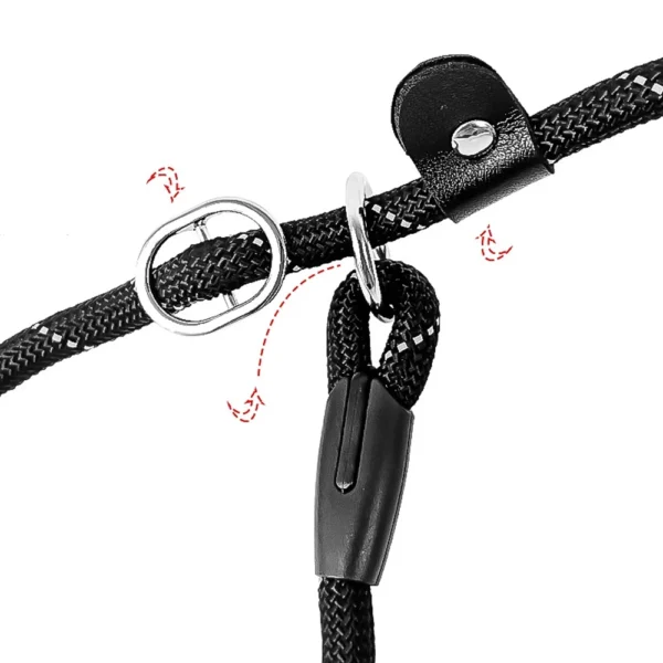 1.5M Long Dog Training Leash – Slip Lead Rope for Walking & Obedience Training