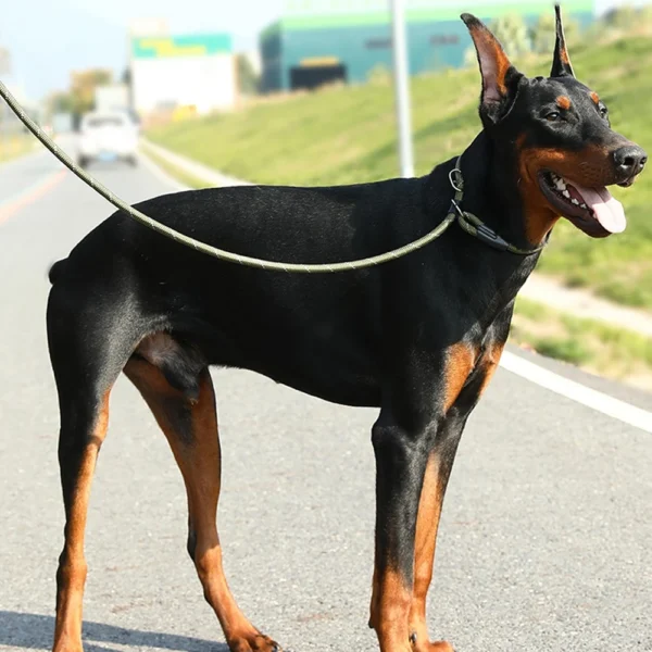 1.5M Long Dog Training Leash – Slip Lead Rope for Walking & Obedience Training