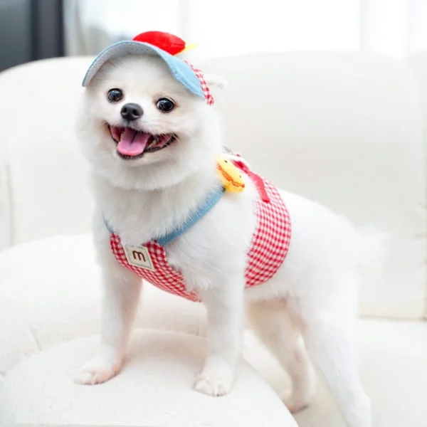 cn-11134207-7ras8-m2hmlqninzi6cb.webp Chest Strap Pet Traction Rope Set with Sunshade Hat – Outdoor Wearable for Cats & Dogs