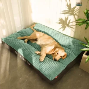 cn-11134207-820l4-mmb68br9zm6a6a.webp Super Comfy Fully Removable and Washable Pet Bed | Thick and Soft Dog Cat Mattress | Comfortable Pet Bed for Dogs & Cats