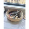 my-11134207-820l8-mmwxzd0d8sn4bc.webp Pet Bed, Rattan Cat Bed, Woven Cat Bed, Woven Pet Bed, Cat Bed, Dog Bed, Cat Scratching Board