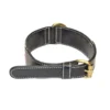 Premium Top-Grain Cowhide (Single Layer) Dog Collar – Display Unit