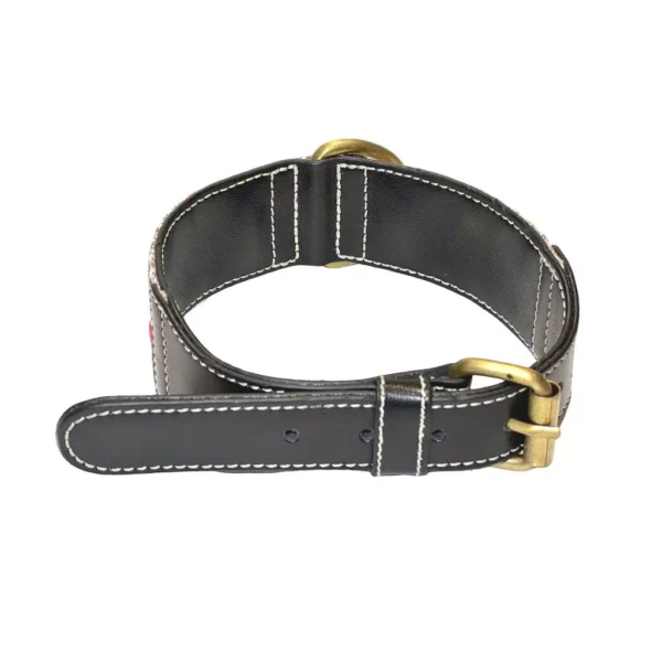 Premium Top-Grain Cowhide (Single Layer) Dog Collar – Display Unit