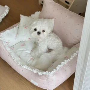 Cotton Pet Bed, Soft & Washable All-Season Pet Sleeping Mat for Dogs & Cats