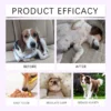 my-11134207-820li-mgnhcvh7w0zs49.webp Pets Dogs Cats Sleep Aid Supplement Sleeping Dropper Solutions Natural Pet Sleep Liquid for Promotes Calm Rest Sleep Support