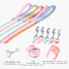 Pet Adjustable Collar & Leash Set – Small & Medium Dogs