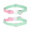 Pet Adjustable Collar & Leash Set – Small & Medium Dogs