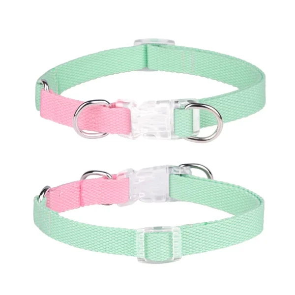 Pet Adjustable Collar & Leash Set – Small & Medium Dogs