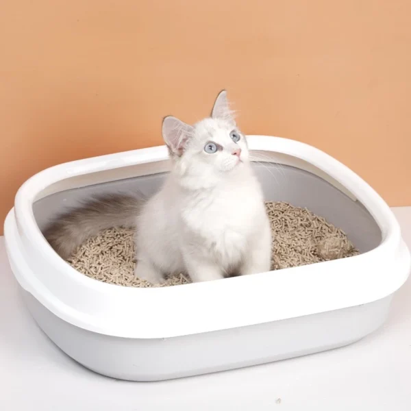 sg-11134201-7rbnj-lm3hq5u23tbt4d.webp Fast Clumping Tofu Cat Litter – Low Dust, Odor Control Cat Sand (6L)
