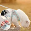 sg-11134201-7rdxj-mc9f3389zk5dbd.webp Cat Traction Rope Anti-breakaway Vest Type Breathable Reflective Pet Chest Strap Small Dog Walking Cat Rope Pet Supplies