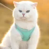 sg-11134201-7rdxy-mc9f32juz90xd4.webp Cat Traction Rope Anti-breakaway Vest Type Breathable Reflective Pet Chest Strap Small Dog Walking Cat Rope Pet Supplies