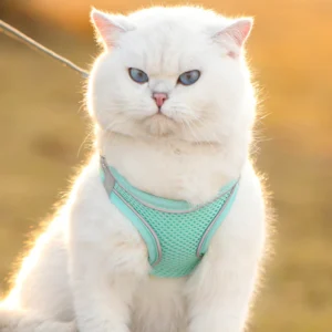 Cat Traction Rope Anti-breakaway Vest Type Breathable Reflective Pet Chest Strap Small Dog Walking Cat Rope Pet Supplies