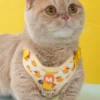 sg-11134201-7rdyu-mdbyh1wgpgzy9a.webp Pet Chest Strap – Adjustable Dog Chest Strap Harness | Straw Strap Outdoor Pet Harness for Cats & Dogs