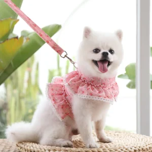 Fresh Cute Pet Floral Chest Strap Lace Traction Rope Teddy Bichon Dog Walking Rope Cat Supplies