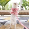 sg-11134201-7renn-m83k3svmqf280b.webp Fresh Cute Pet Floral Chest Strap Lace Traction Rope Teddy Bichon Dog Walking Rope Cat Supplies