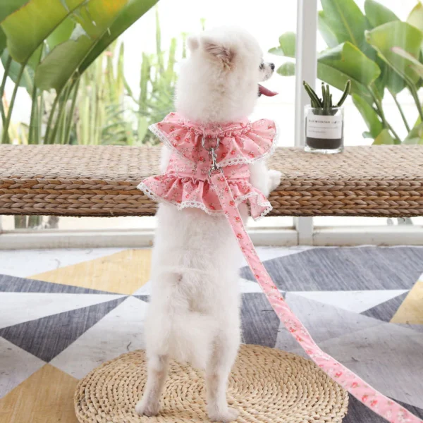 sg-11134201-7renn-m83k3svmqf280b.webp Fresh Cute Pet Floral Chest Strap Lace Traction Rope Teddy Bichon Dog Walking Rope Cat Supplies