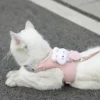 Adjustable Dog Harness with Leash – Cute Cat Harness Vest for Puppy