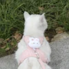 Adjustable Dog Harness with Leash – Cute Cat Harness Vest for Puppy
