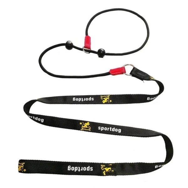 Dog Training P-Leash – Slip Lead Obedience Training Rope