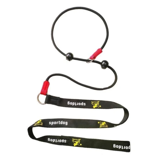 Dog Training P-Leash – Slip Lead Obedience Training Rope