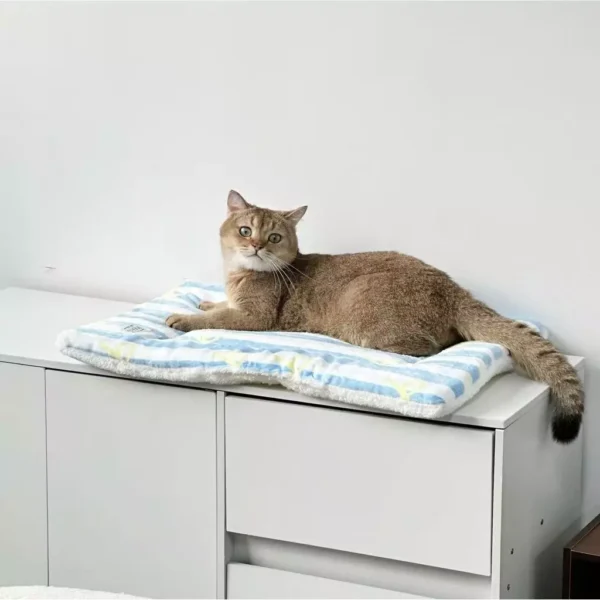 sg-11134201-822y4-mo6xt88nklc2ea.webp Cat Mat for Sleeping Warm Small Dog Bed Pet Sleeping Mat Four Seasons Universal Cat Bed Mat Floor Mat Dog Bed