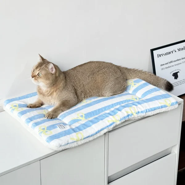 sg-11134201-822zr-mo6xt2wqt6gyf5.webp Cat Mat for Sleeping Warm Small Dog Bed Pet Sleeping Mat Four Seasons Universal Cat Bed Mat Floor Mat Dog Bed