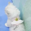 sg-11134201-824jj-mea748z9eoef2f.webp Angel Wings Pet Leash Cat Anti-breakaway Vest Style Leash Dog Kitten Outing Supplies
