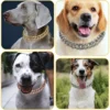 Pet Dog Cuban Chain Collar – Fashion Metal Necklace, Domineering Luxury Dog Collar with Safety Buckle
