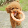 1pc Orange Dog Flying Disc – EVA Interactive Training Ring Puller