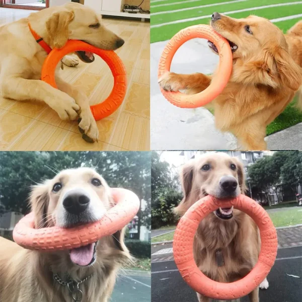 1pc Orange Dog Flying Disc – EVA Interactive Training Ring Puller