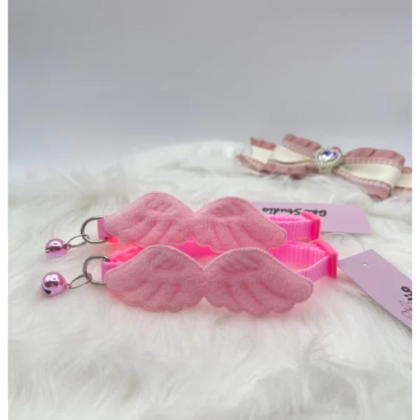 Cat and Small Dog Collar