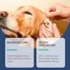 S0b4b14d644564c43afe155351e593918k.webp 100ml Pet Ear Cleanser for Dogs & Cats - Odor Control | Pet Grooming & Care Supplies for Dogs & Cats