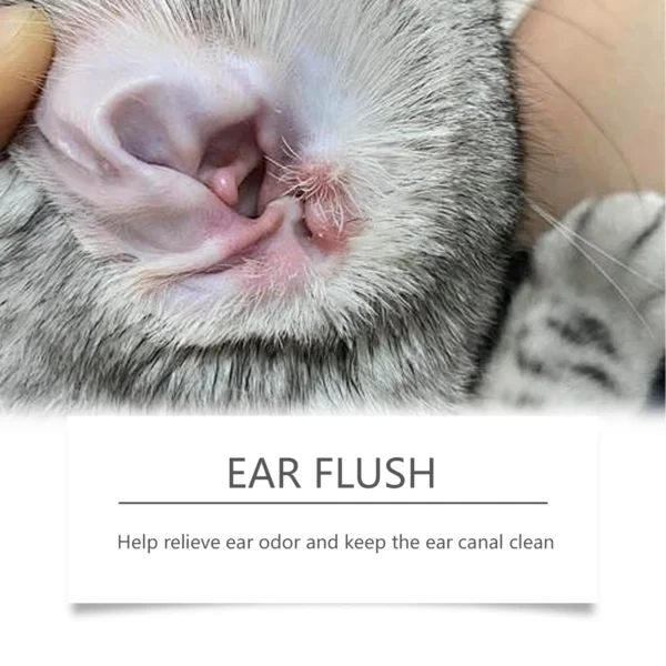 Sb1af88ef4ddd432f933924184a2aa877z.webp 100ml Pet Ear Cleanser for Dogs & Cats - Odor Control | Pet Grooming & Care Supplies for Dogs & Cats